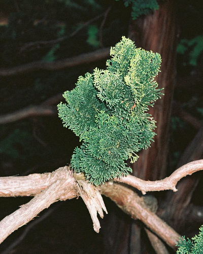 0007572 R1 20 21 Acopy3 jpg